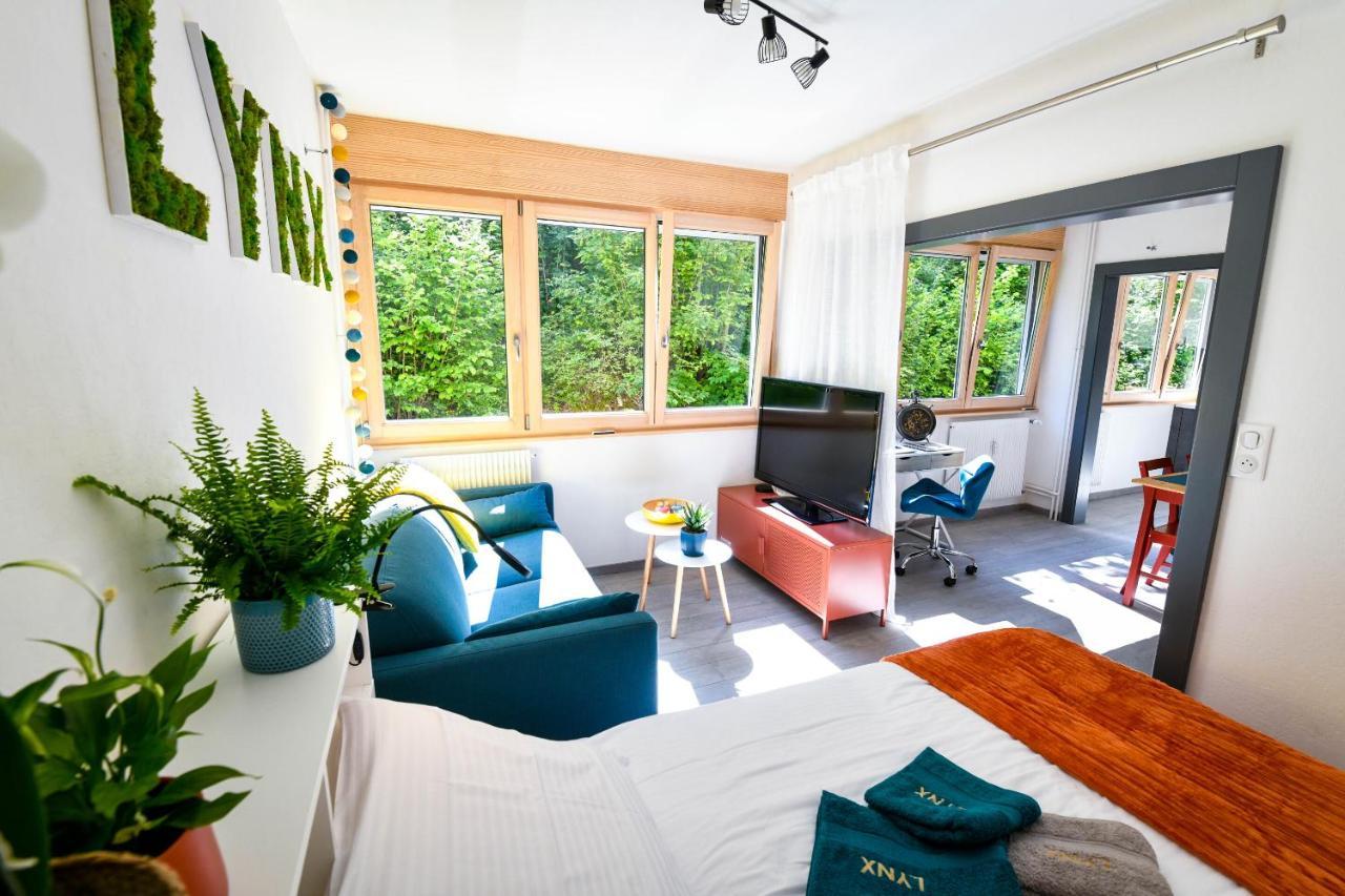 Lynx Apartment Pontarlier